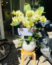 L-513 - belovedbeyond.com