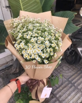 Bh-512 - belovedbeyond.com