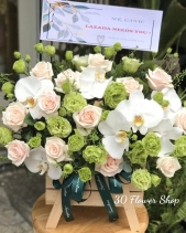 Gh-510 - belovedbeyond.com