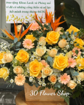 Gh-508 - belovedbeyond.com