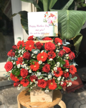 Gh-500 - belovedbeyond.com