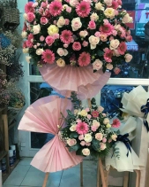 Kh-492 - belovedbeyond.com