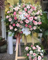 Kh-485 - belovedbeyond.com