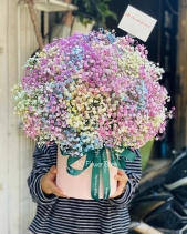 Hh-471 - belovedbeyond.com