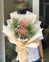 Bh-464 - belovedbeyond.com