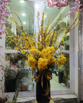 Hb-449 - belovedbeyond.com