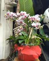 L-446 - belovedbeyond.com