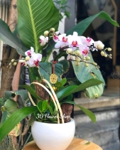 L-444 - belovedbeyond.com