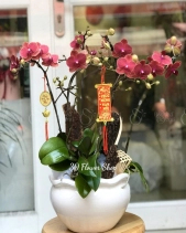 L-441 - belovedbeyond.com
