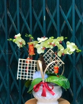 L-440 - belovedbeyond.com