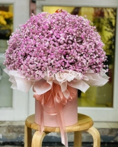 Hh-428 - belovedbeyond.com