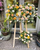 Kh-421 - belovedbeyond.com