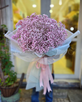 Bh-371 - belovedbeyond.com