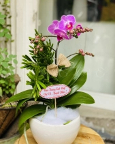 L-368 - belovedbeyond.com