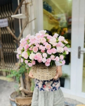 Gh-334 - belovedbeyond.com