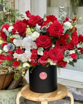 Hh-324 - belovedbeyond.com