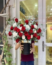 Hh-320 - belovedbeyond.com