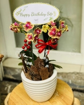 L-314 - belovedbeyond.com