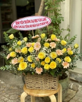 Gh-295 - belovedbeyond.com