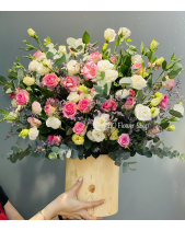 Lh-286 - belovedbeyond.com