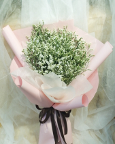 Bh-270 - belovedbeyond.com