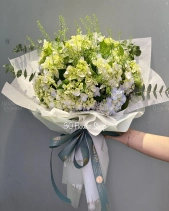 Bh-265 - belovedbeyond.com