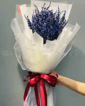 Bh-260 - belovedbeyond.com