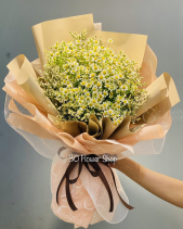 Bh-255 - belovedbeyond.com