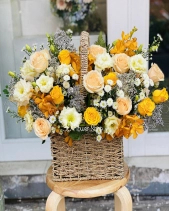 Lh-242 - belovedbeyond.com