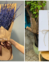 Bh-238 - belovedbeyond.com