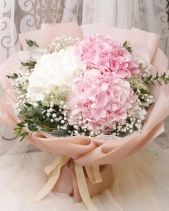 Bh-224 - belovedbeyond.com