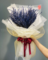 Bh-222 - belovedbeyond.com