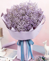 Bh-215 - belovedbeyond.com