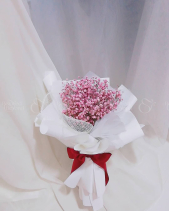 Bh-213 - belovedbeyond.com