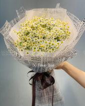 Bh-153 - belovedbeyond.com