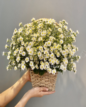 Gh-139 - belovedbeyond.com