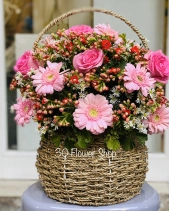 Gh-137 - belovedbeyond.com