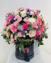 Hh-090 - belovedbeyond.com