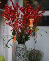 Ht-061 - belovedbeyond.com