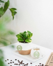 Trường Sinh × Teori - belovedbeyond.com