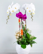 Trọn Niềm Vui - belovedbeyond.com