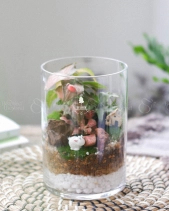 Tiểu Cảnh Terrarium Trụ - Tropical Forest - belovedbeyond.com