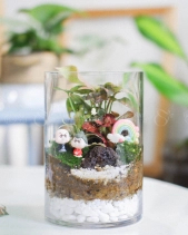 Tiểu Cảnh Terrarium Trụ - Grow Old Together - belovedbeyond.com