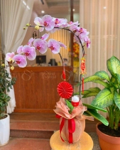 Sum Vầy - belovedbeyond.com