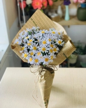 Hoa Giấy 04 - belovedbeyond.com