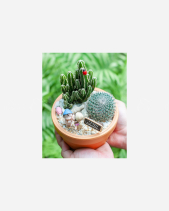 Happy Day 11 - belovedbeyond.com