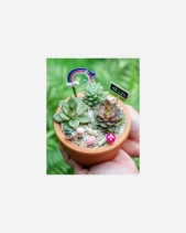 Happy Day 7 - belovedbeyond.com