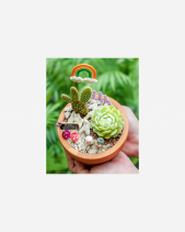 Happy Day 13 - belovedbeyond.com