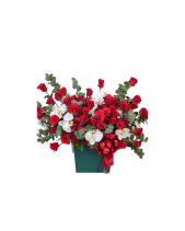 Scarlet - belovedbeyond.com