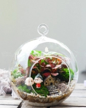 Tiểu Cảnh Terrarium Cầu Treo - Happy Couple - belovedbeyond.com